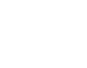 RM BOIS
